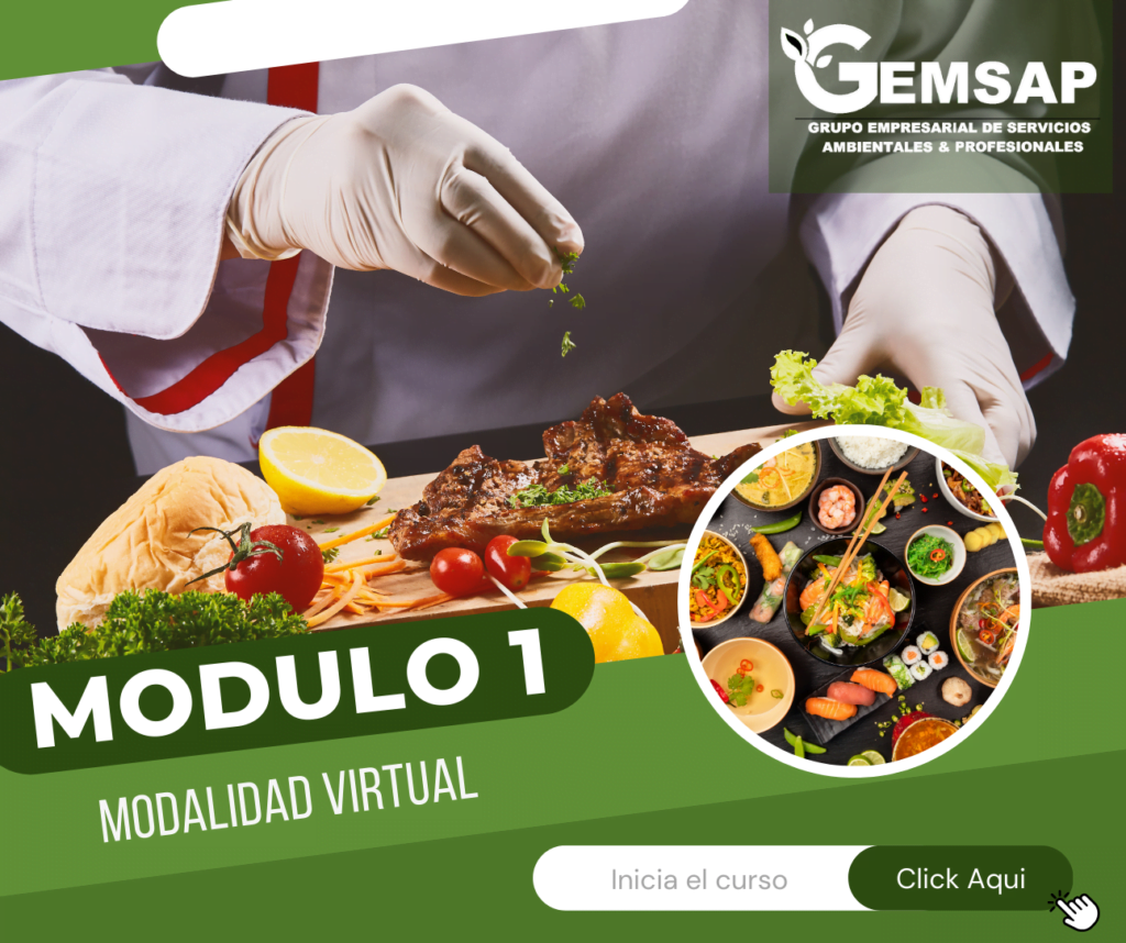 curso de manipulacion de alimentos modulo 1